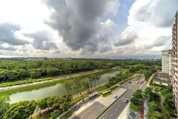 Riverfront Residences (D19), Apartment #549939621